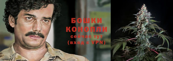 трава Абаза