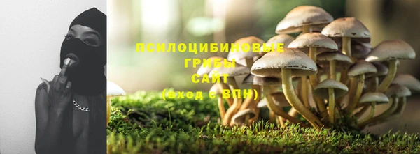 трава Абаза