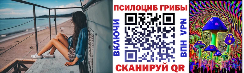 наркота Кирсанов Галлюциногенные грибы ЛСД
